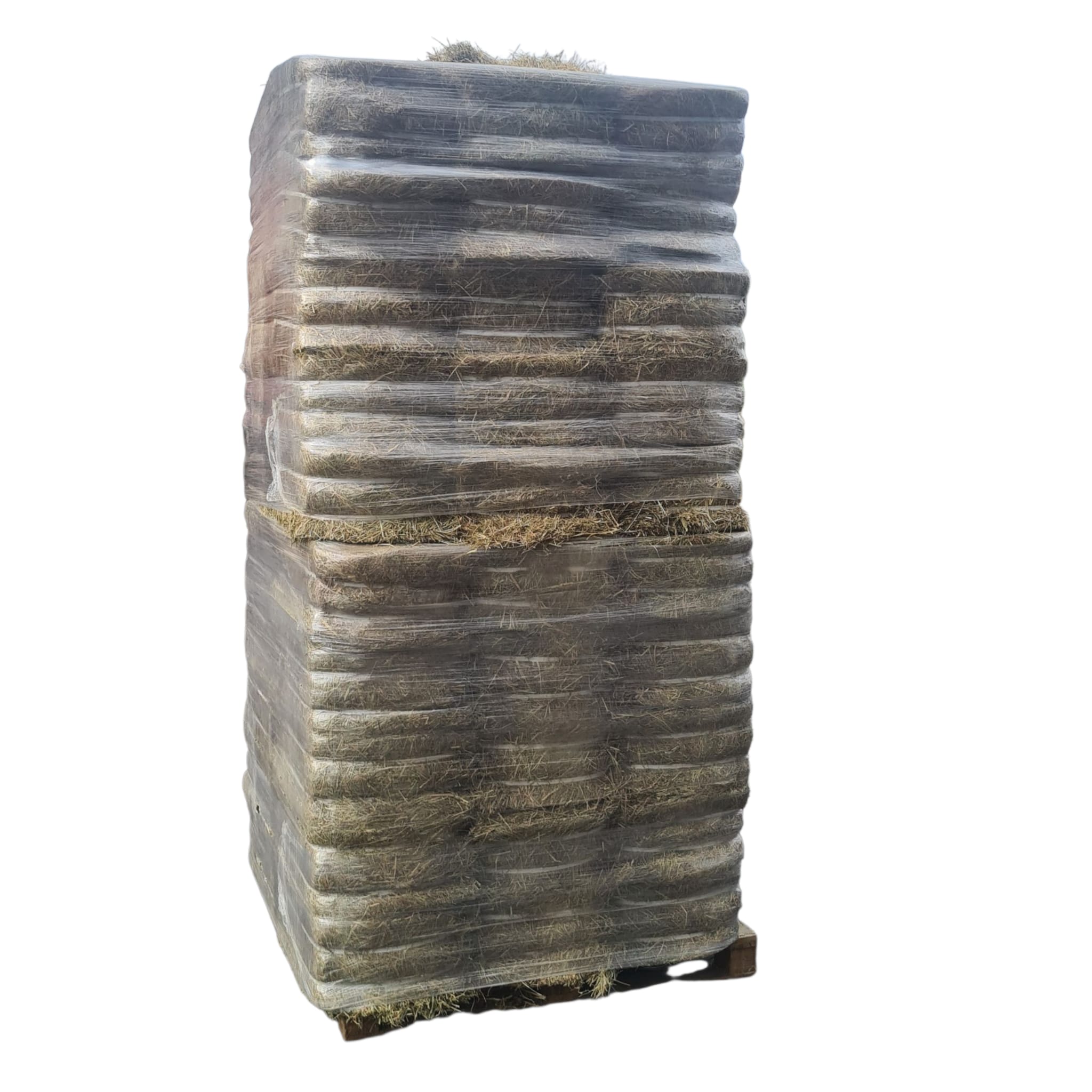 PHOTO-2025-08-20-11-50-40 (1)